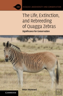 Bertrand.pt - Life, Extinction, And Rebreeding Of Quagga Zebras