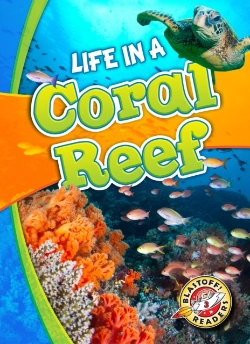 Bertrand.pt - Life In A Coral Reef