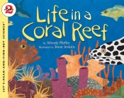 Life In A Coral Reef