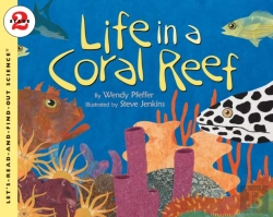 Bertrand.pt - Life In A Coral Reef