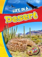 Life In A Desert