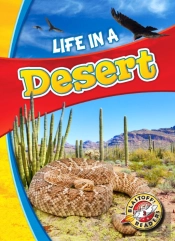 Life In A Desert
