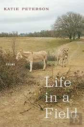 Life In A Field Â€“ Poems