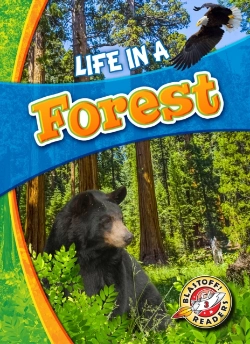 Bertrand.pt - Life In A Forest