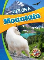 Life In A Mountain