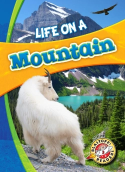 Bertrand.pt - Life In A Mountain