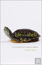 Life In A Shell