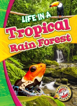 Bertrand.pt - Life In A Tropical Rain Forest