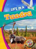 Life In A Tundra