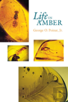 Life In Amber