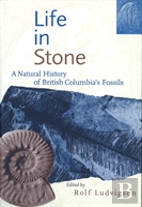 Life In Stone