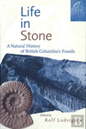 Life In Stone