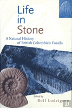 Bertrand.pt - Life In Stone