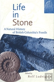 Life In Stone