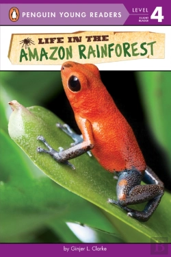 Bertrand.pt - Life In The Amazon Rainforest