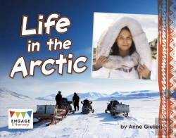 Bertrand.pt - Life In The Arctic