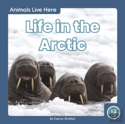 Bertrand.pt - Life In The Arctic