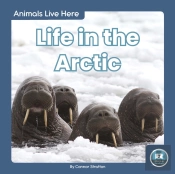 Life In The Arctic