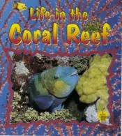 Life In The Coral Reef