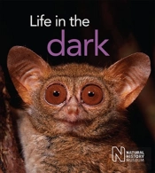 Life In The Dark