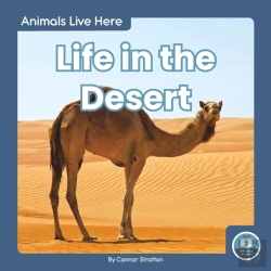 Bertrand.pt - Life In The Desert