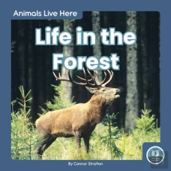 Bertrand.pt - Life In The Forest