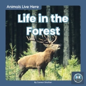 Life In The Forest