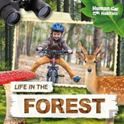 Bertrand.pt - Life In The Forest