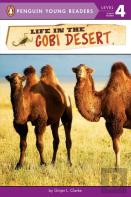 Life In The Gobi Desert