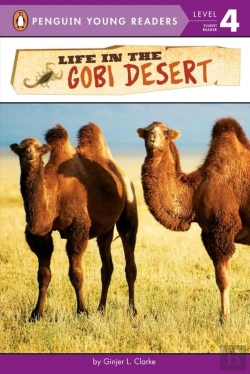 Bertrand.pt - Life In The Gobi Desert