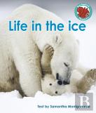 Life In The Ice
