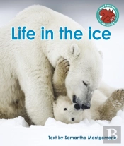 Life In The Ice