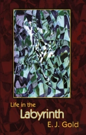 Life In The Labyrinth