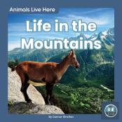 Life In The Mountains