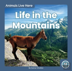Bertrand.pt - Life In The Mountains