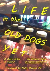 Life In The Old Dogs Yet: A Short Amble In Ireland