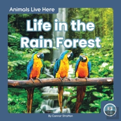 Bertrand.pt - Life In The Rain Forest