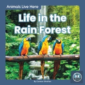 Life In The Rain Forest