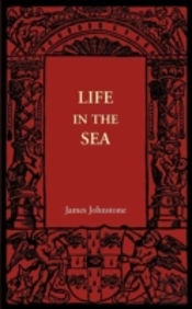 Life In The Sea