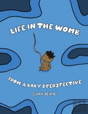 Life In The Womb From A Baby'S Perspecti
