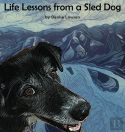 Bertrand.pt - Life Lessons From A Sled Dog