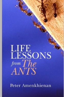 Bertrand.pt - Life Lessons From The Ants