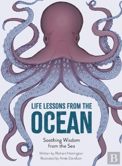 Bertrand.pt - Life Lessons From The Ocean