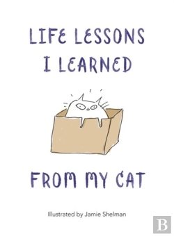 Bertrand.pt - Life Lessons I Learned From My Cat