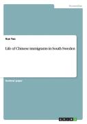 Life Of Chinese Immigrants In South Sweden