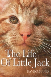 Life Of Little Jack