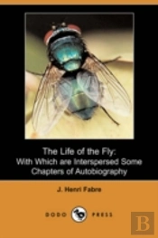Life Of The Fly