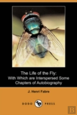 Bertrand.pt - Life Of The Fly
