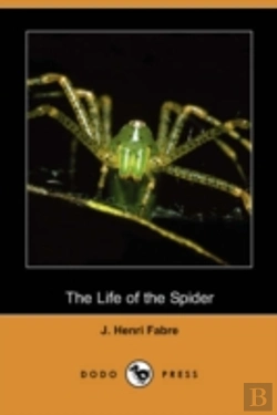 Bertrand.pt - Life Of The Spider (Dodo Press)
