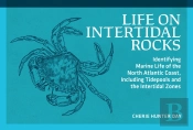 Life On Intertidal Rocks